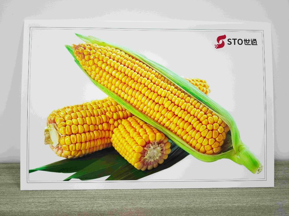 UV打印機（jī）打印工藝（yì）之3D浮（fú）雕效果（guǒ）